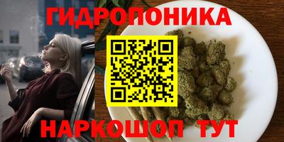 Альфа ПВП Можга