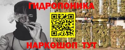 Альфа ПВП Можга