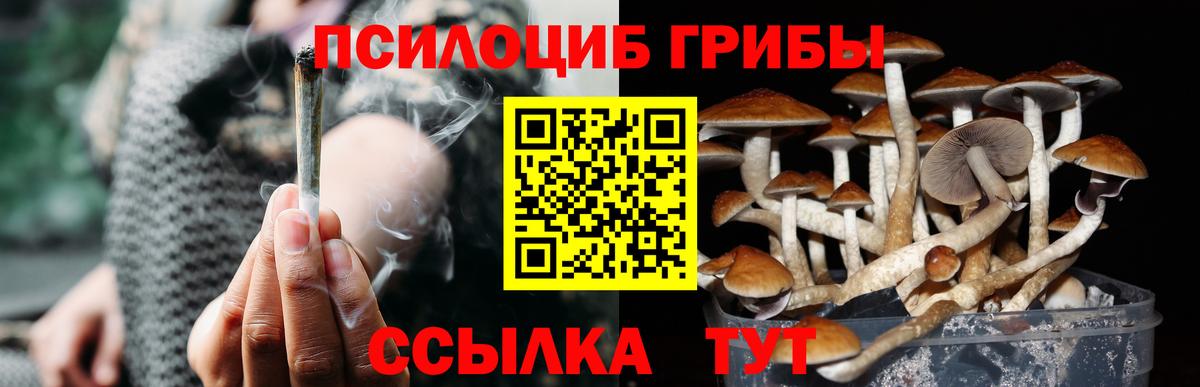 Галлюциногенные грибы прущие грибы  Вход с VPN  Галлюциногенные грибы ЛСД  Азнакаево 